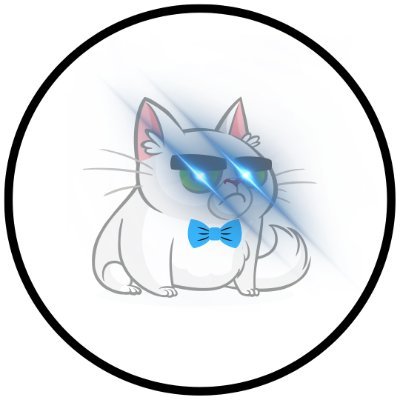 BowTiedBarnCat's profile picture. Degen Island or Bust