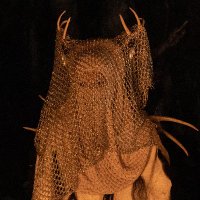 Emilia (@ladylancing) 's Twitter Profile