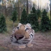 ARTNEGRA25 (@artnegra25) 's Twitter Profile
