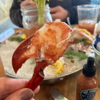 Veronica DelValle (@vdkruchten) 's Twitter Profile