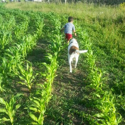 Buggaiti's profile picture. 