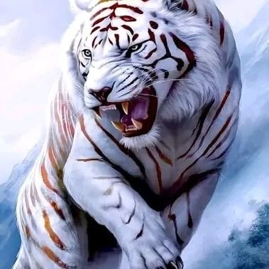 MatshoaneloN's profile picture. 