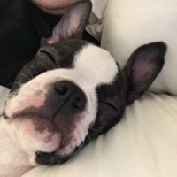 Term Limits Needed (@neededterm) 's Twitter Profile Photo Term Limits Needed (@neededterm) 's Twitter Profile Photo