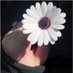 ام سعد (@abaq353) Twitter profile photo ام سعد (@abaq353) Twitter profile photo