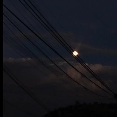 ximecarz's profile picture. 