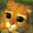 roroir83's profile image