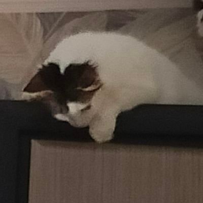 BarbaraEmerald2's profile picture. 