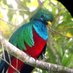 Aurora's Gems (@aurorasgems77) Twitter profile photo Aurora's Gems (@aurorasgems77) Twitter profile photo