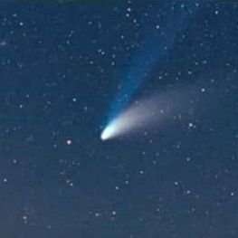 Hay un Cometa llamado #CambioFraude

Tú no me sigas, ponme en una lista y nombrala👇