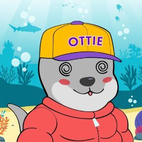 HAFIZUR36868049's profile picture. 