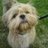 murdo69's profile image