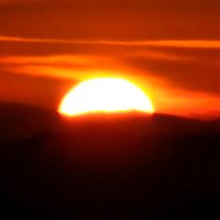 Gerd Willars 🇩🇪🇿🇦🇮🇱 ☮️🖤💙 (@lupino_tuum) Twitter profile photo