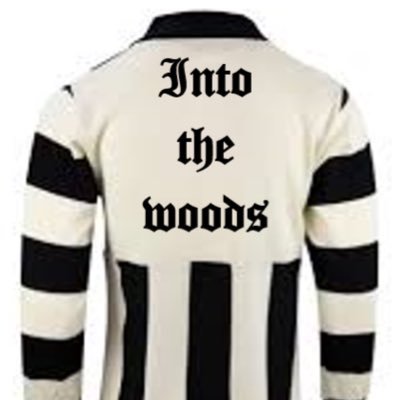 IntoTheWoodsPod Profile Picture