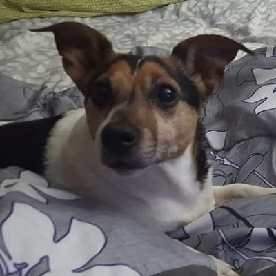 LeLeLoLe65's profile picture. Everything happens for a reason.