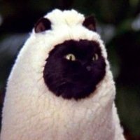 🍦Dee Nii-San🍦 (@themuteddj) 's Twitter Profile