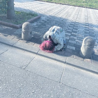 ひめさんのプロフィール画像