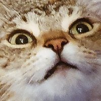 lpmodding - commissions closed (@longerrpigsmods) 's Twitter Profile Photo