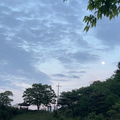 duckduck821's profile picture. 