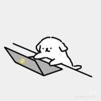 Nov26-y (@k8bir) 's Twitter Profile Photo