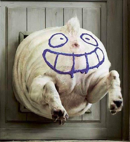 Хамоб Хапок