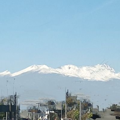 Rossana49243448's profile picture. ✨