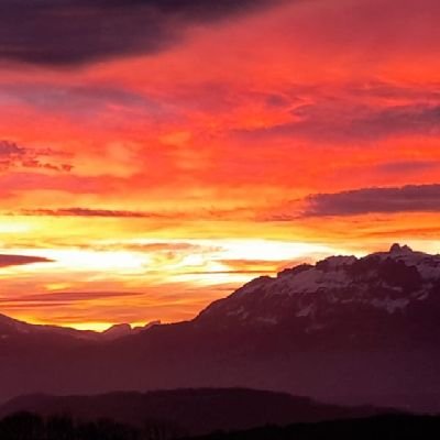 JohannesBu61809's profile picture. Lebenskünstler