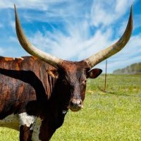 People Caught Cheating (@peoplecheati) 's Twitter Profile Photo