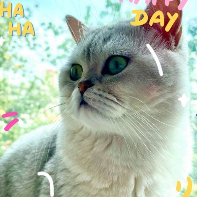 susan202059's profile picture. 