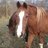 BethGainer's profile image