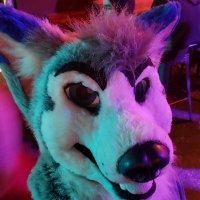 Nitro (@alphadogs5) 's Twitter Profile Photo