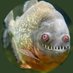 مهدی (@m_mohammadi1) Twitter profile photo مهدی (@m_mohammadi1) Twitter profile photo