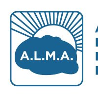 A.L.M.A. Alzheimer (@almaasociacion) 's Twitter Profile