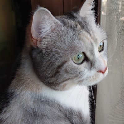 AO_04038014's profile picture. えっ👀