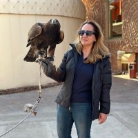 Güldane Mutlu (@gldane_mutlu) 's Twitter Profile