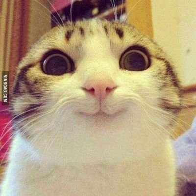 0nyankop0n's profile picture. 