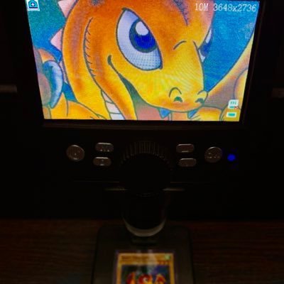 遊戯王カード(主に初期〜3期が好きです)とシャーマンキングカード超・占事略決をコレクションしてます/ #ARS鑑定 /#筋トレ/