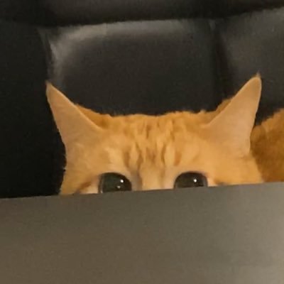 lucas59639075's profile picture. 