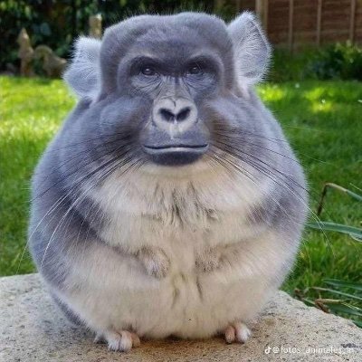 sofi1989sofi's profile picture. 