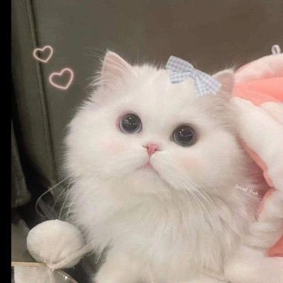 bykimi_w's profile picture. ˗ˏˋ #studytwt