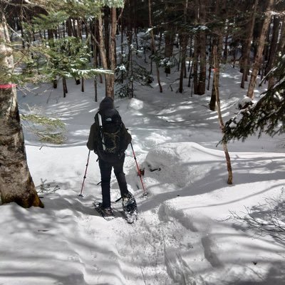 2021.12から登山にハマりました。ホームは丹沢、箱根エリア。百名山46/100。時間に追われずのんびりマイペースに歩くのが好き。