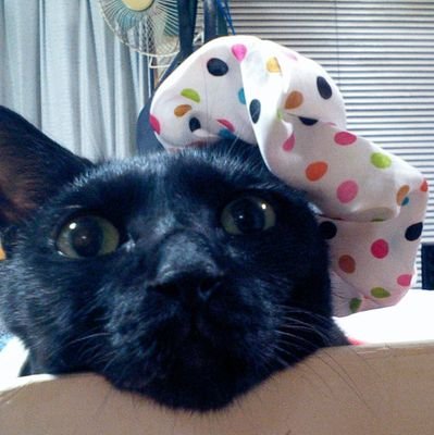 過去完全凍結からのフォールアウト住人
2010年よりTwitter開始
数年前凍結最近レイシスト称号貰ったの
甦る海月
至誠に悖るなかりしか、言行に恥ずるなかりしか、気力に欠くるなかりしか、努力に憾みなかりしか、無精に亘るなかりしかDM基本無視🎉64天安門🎉