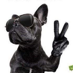 rubenitez1966's profile picture. SOY DEL 44%
 
 我希望你度過有趣的時光