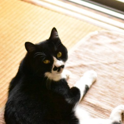 おらまさんのプロフィール画像
