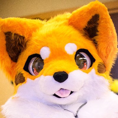 水賀（みなが）🦊🐶⏩️未定さんのプロフィール画像