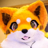 水賀（みなが）🦊🐶⏩️OFFF(@furMinaga) 's Twitter Profile Photo