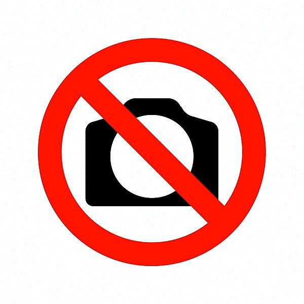 blanche24720's profile picture. 