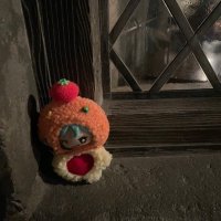 るあ((ʚ( ˙꒳˙)ɞ)) (@lxlato) 's Twitter Profile