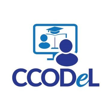 The establishment of CCODeL was born out of the vision to Raise a New Generation of Global Leaders.