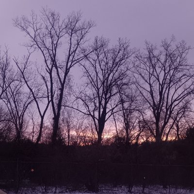 DarienDionne's profile picture. 