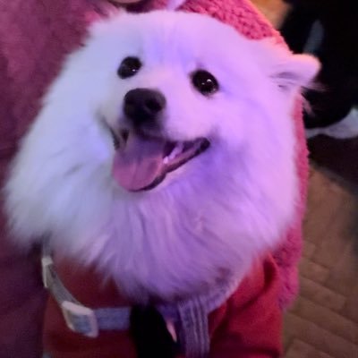 zhpcn96's profile picture. 